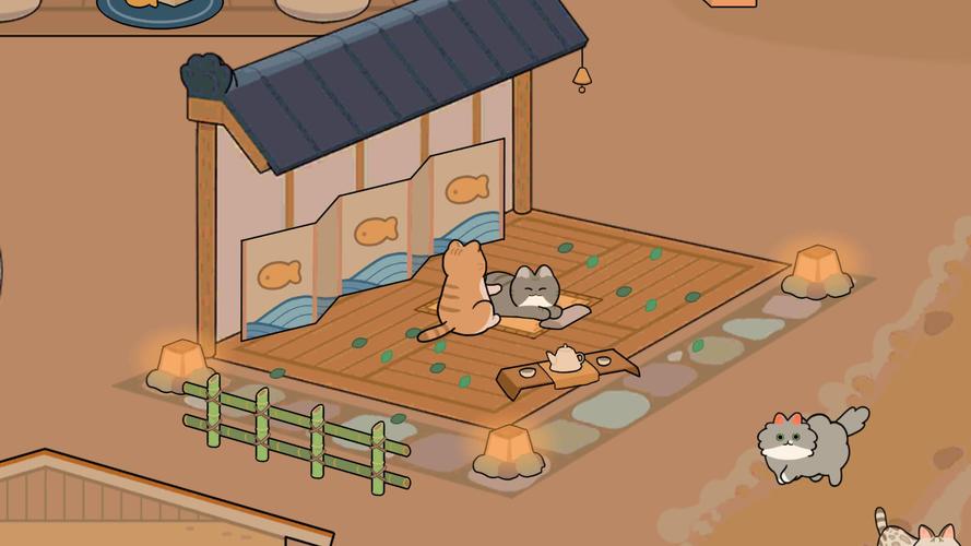 猫咪app官网下载2026