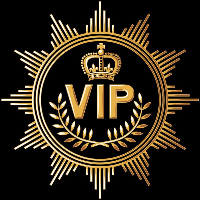 下载vip2026