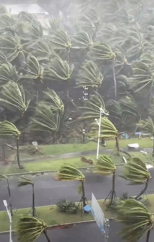 台风视频2026