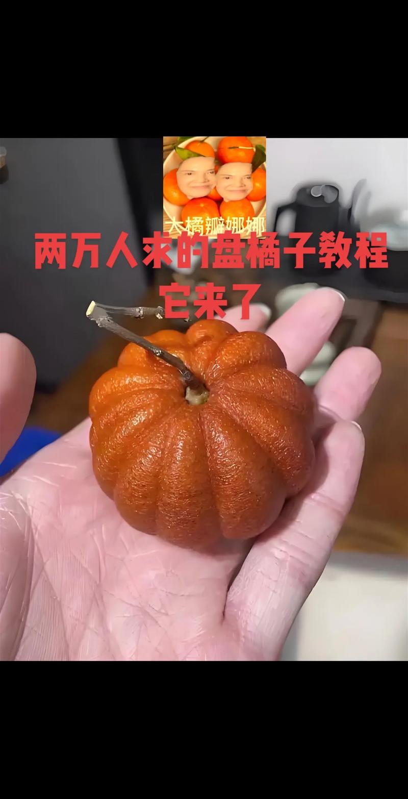 橘子下载2026
