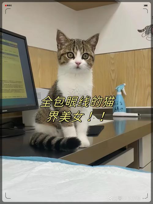 下载福利2026