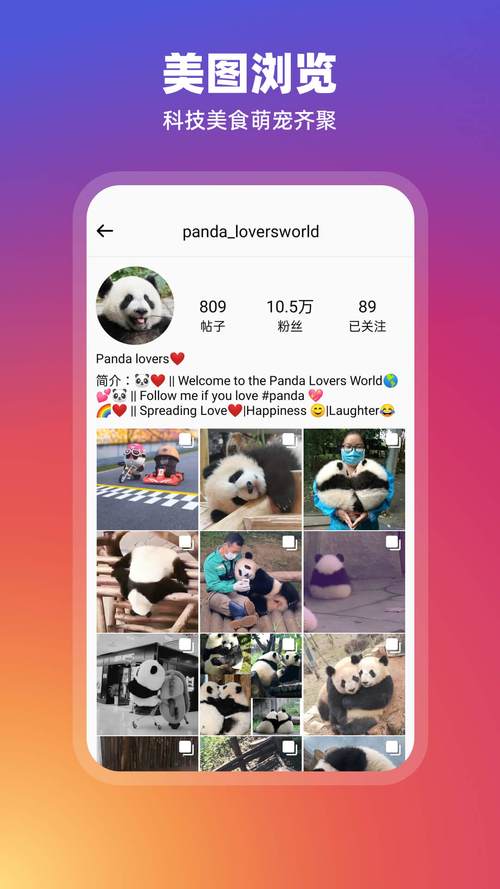 instagram最新版下载2026