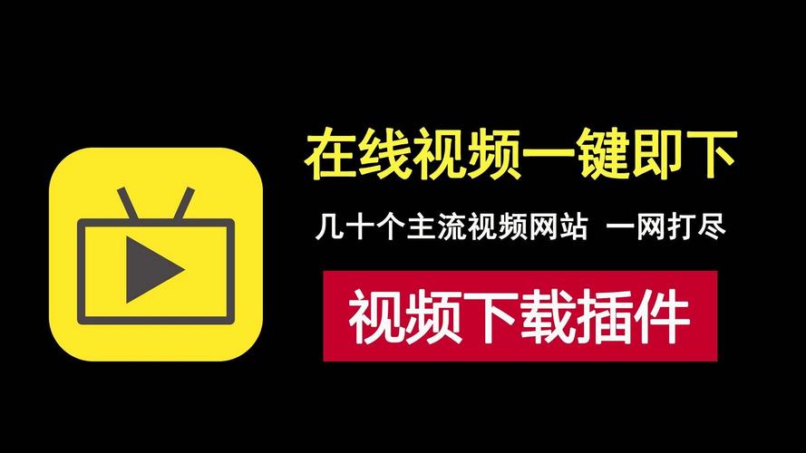 下载视频插件2026