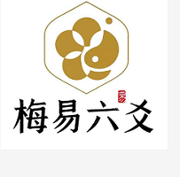 梅花易数 下载2026