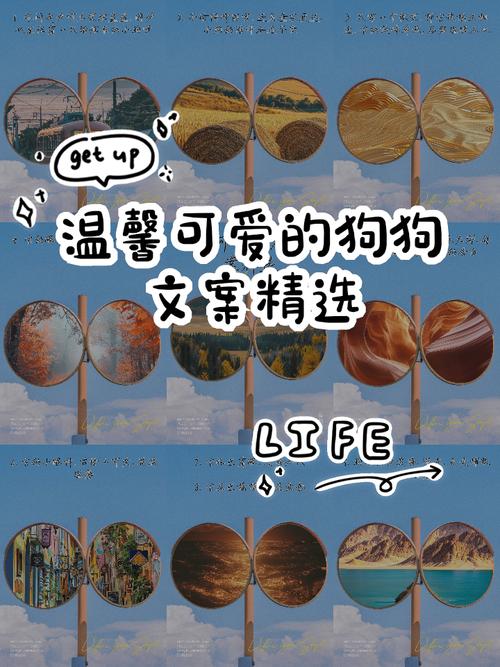 文案下载2026