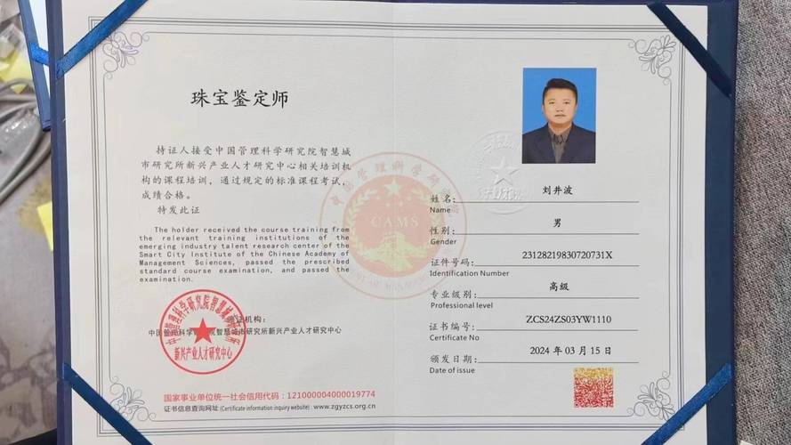 鉴定师2026