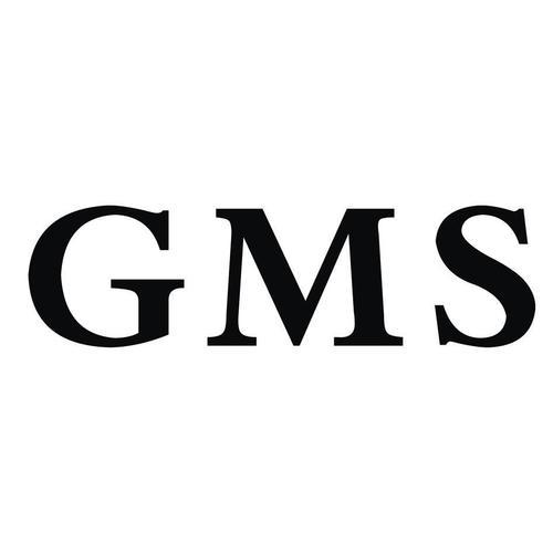 gm下载2026