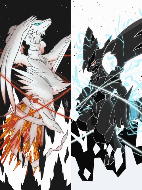 口袋妖怪黑白2026