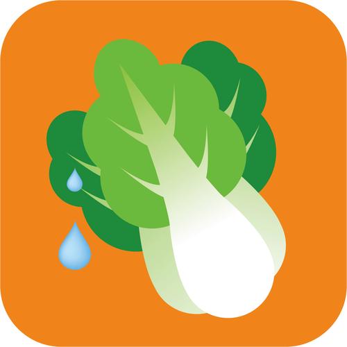 大白菜系统下载2026