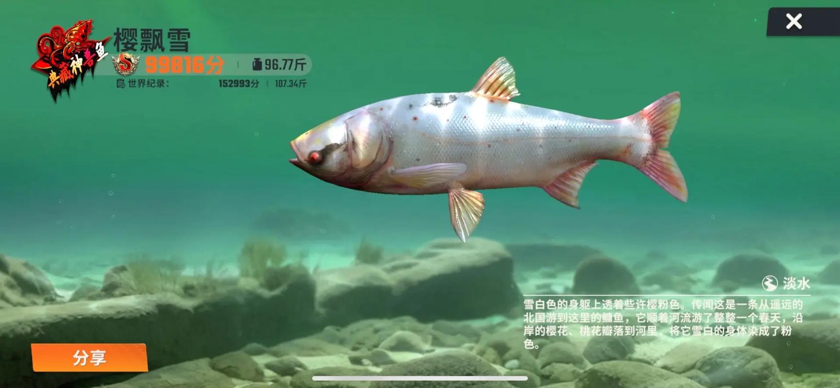 欢乐钓鱼大师下载2026