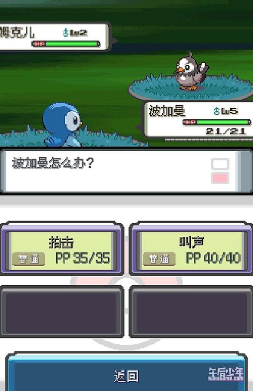 口袋妖怪珍珠2026