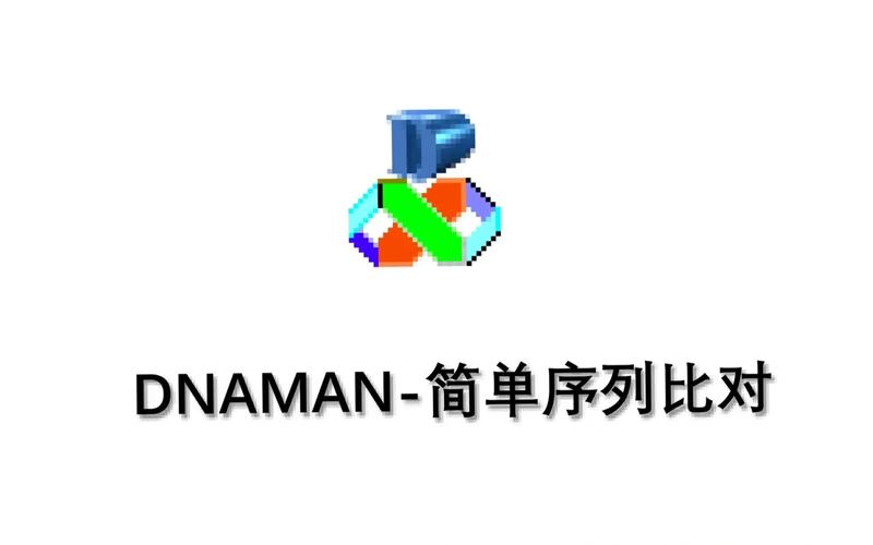 dnaman下载2026