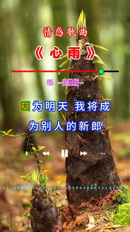 下载心2026