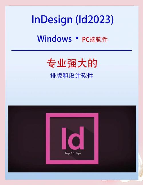 排版下载2026