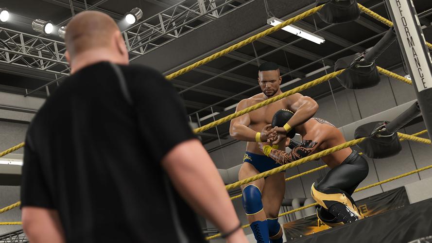 wwe游戏2026