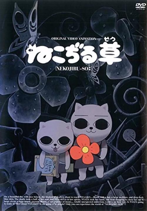 猫汤下载2026