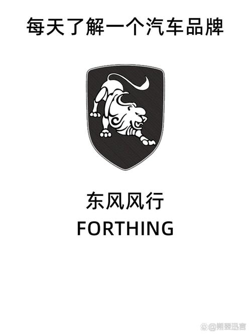 风行官方下载2026