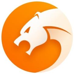 猎豹浏览器官网下载2026
