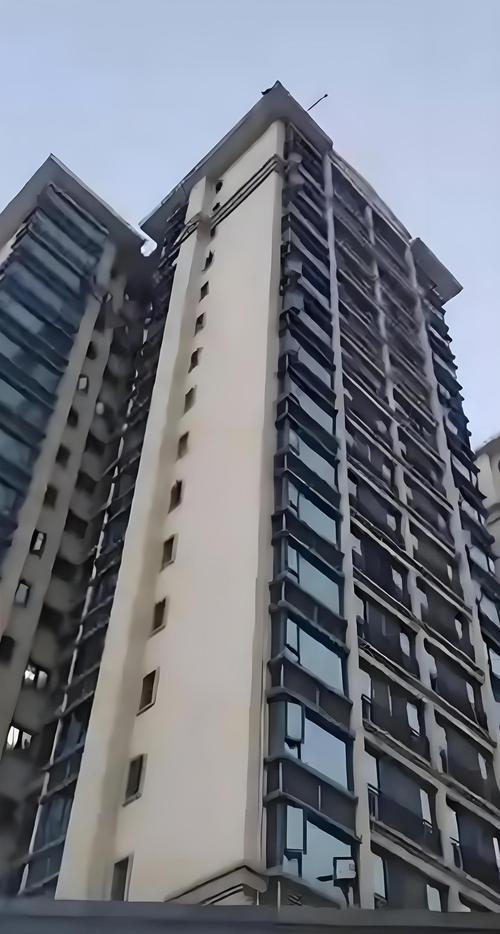 下载楼2026