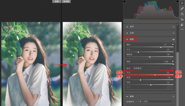 cameraraw下载2026