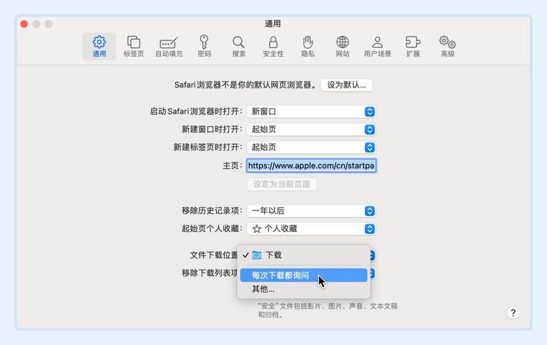 safari官方下载2026