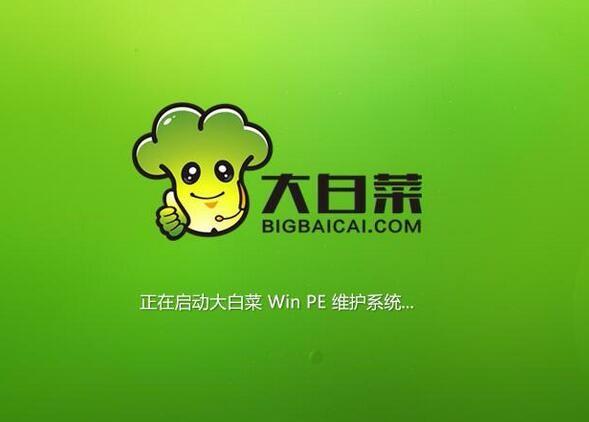 大白菜pe下载2026