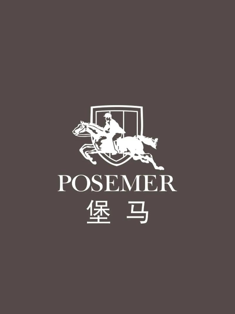 王子的骑士下载2026