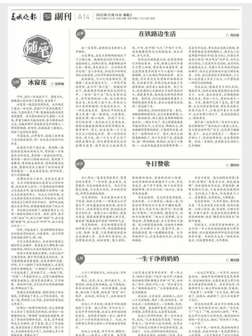 春城晚报电子版2026