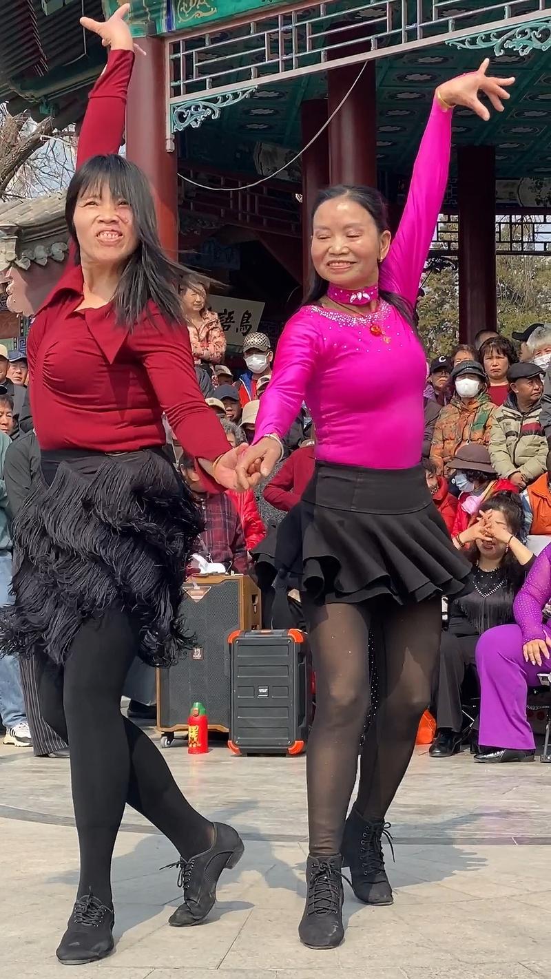 广场舞视频大全2026