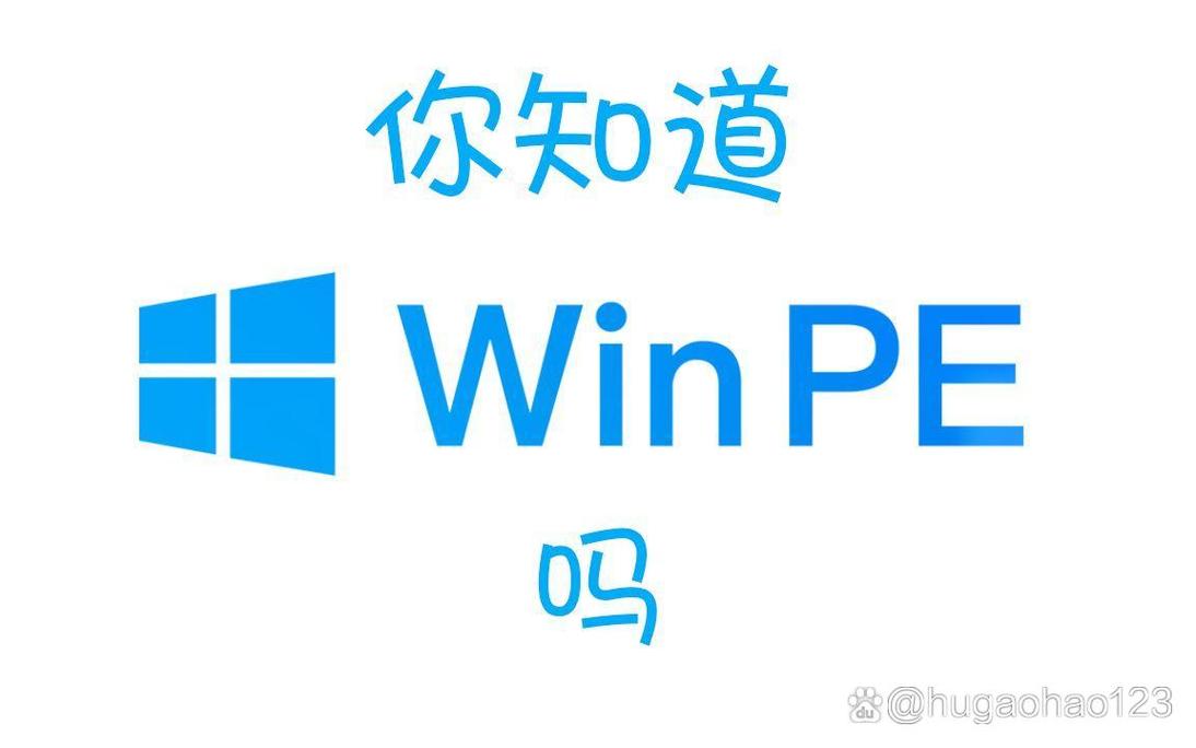 下载win2026