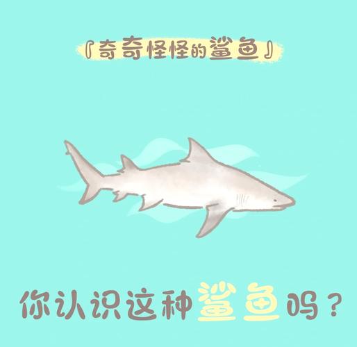 青柠下载2026