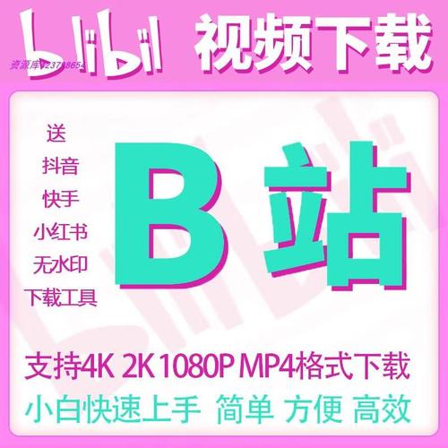b站视频下载器2026