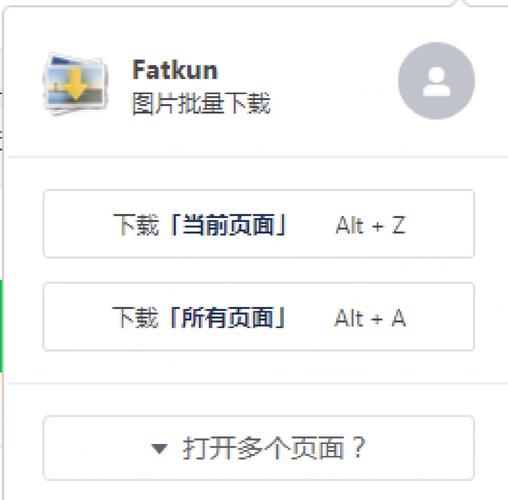 fatkun图片批量下载插件2026