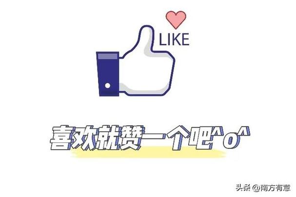 下载赞2026