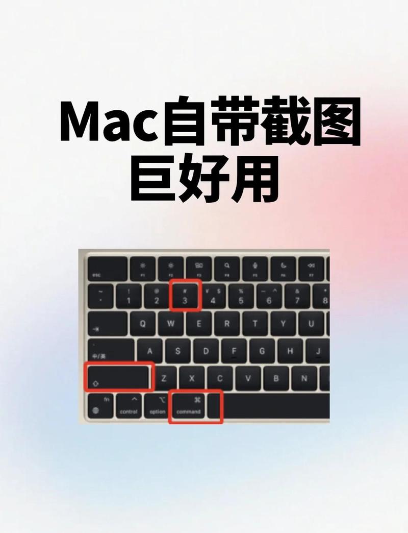 macbook软件下载2026