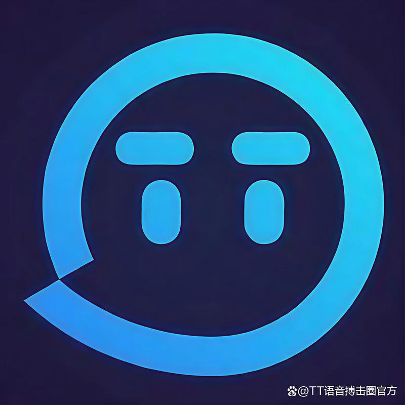 t 下载2026