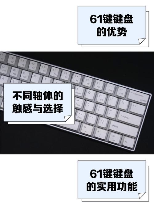 6  下载2026