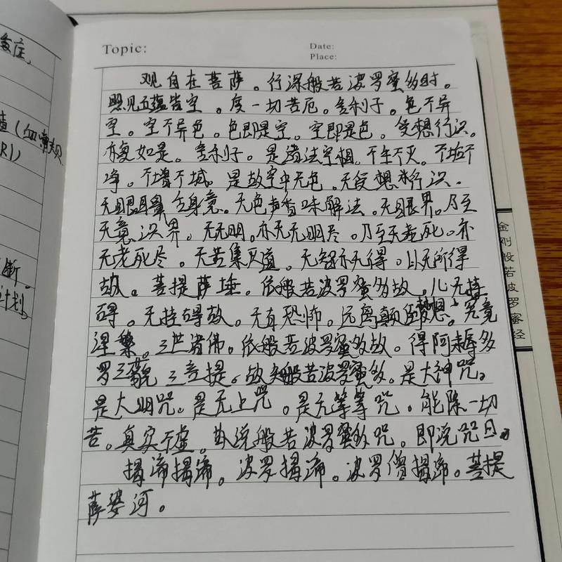 小说 下载2026