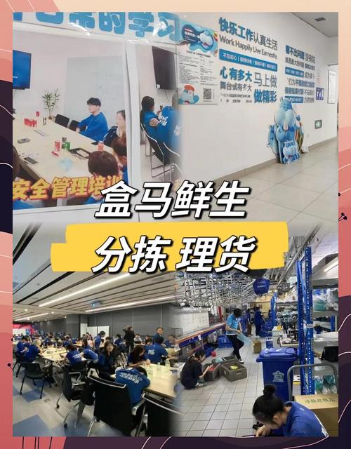 盒马鲜生app官方下载2026