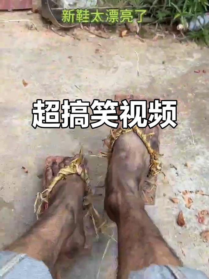 搞笑视频 下载2026