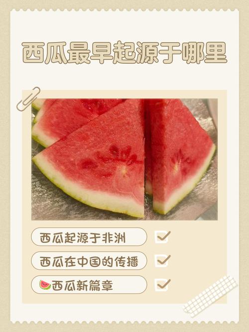 西瓜 下载2026