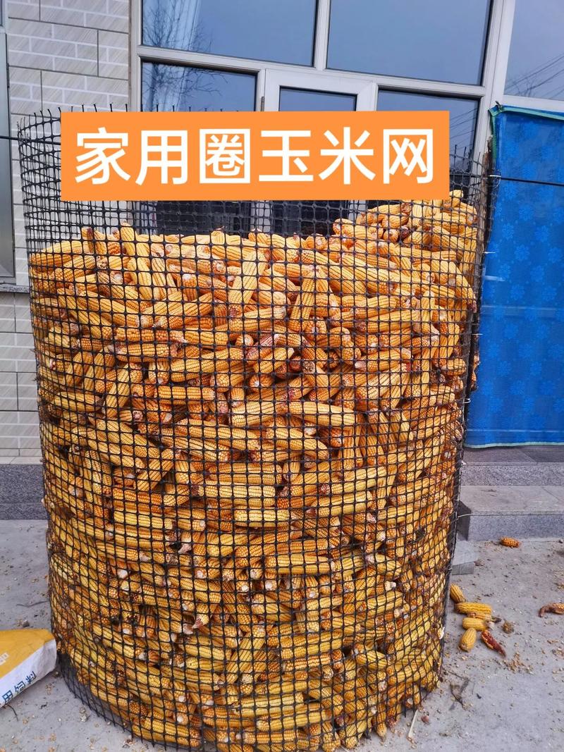 玉米下载2026