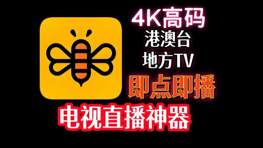 视频直播平台2026