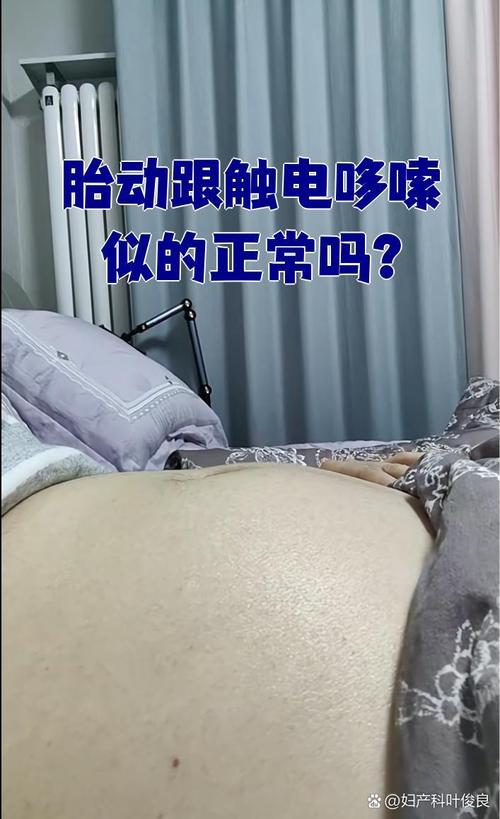 胎动视频2026