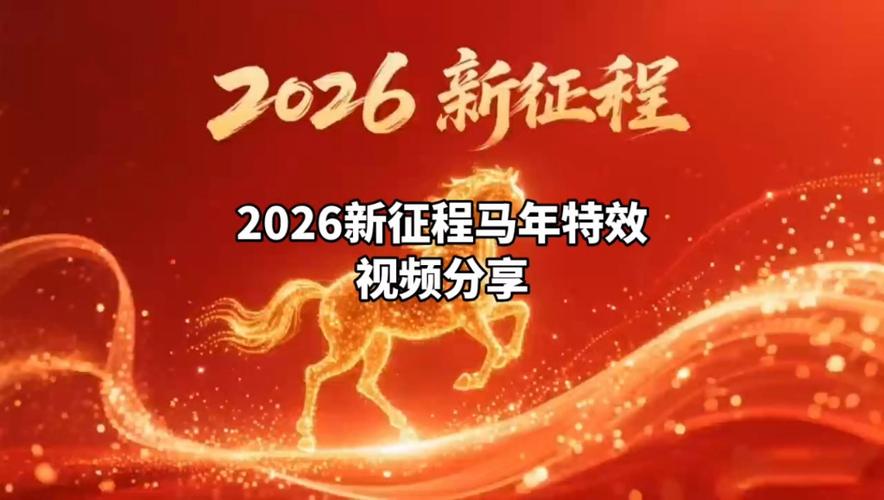 视频代理2026
