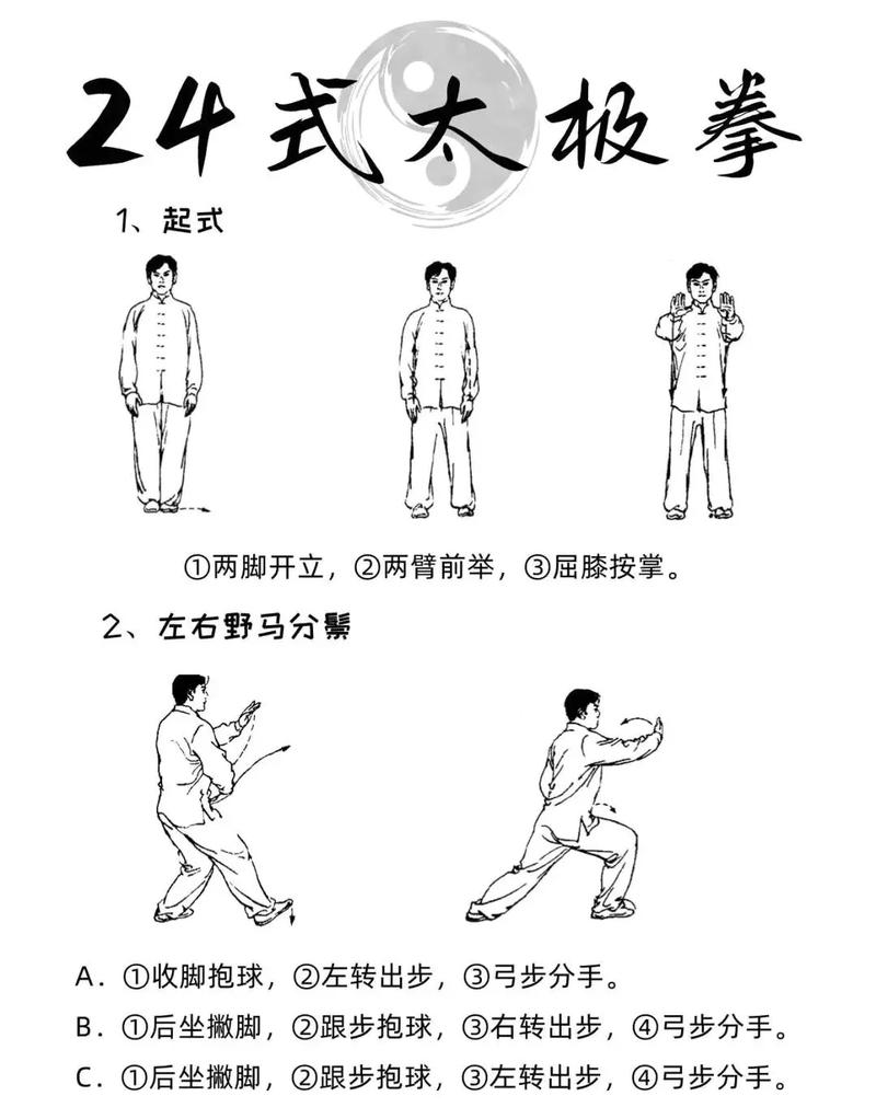 二十四式太极拳视频2026