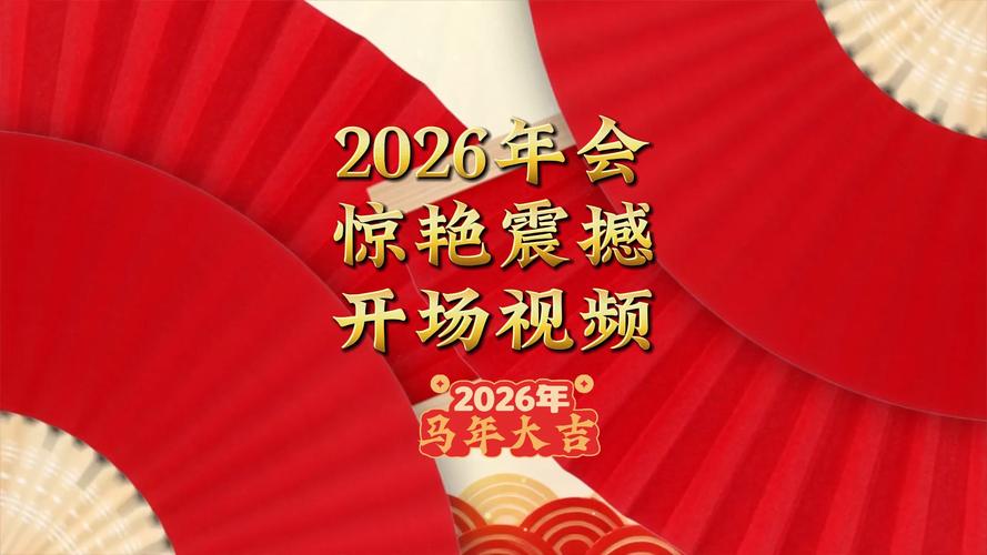 我的视频2026