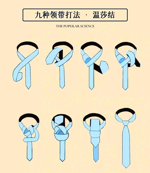 领带打法视频2026