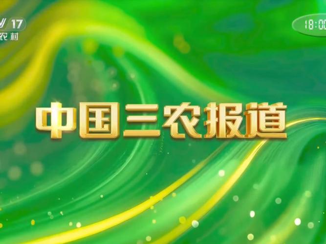 三农视频2026