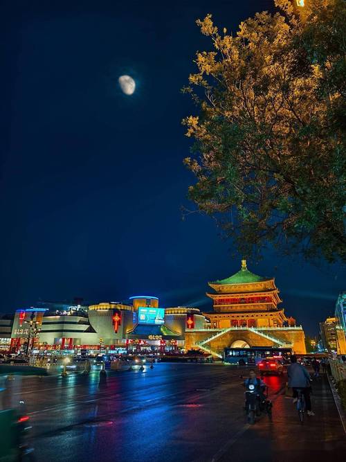 夜色视频2026